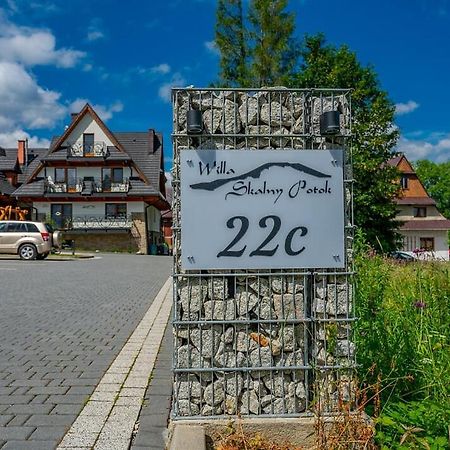 Willa Skalny Potok Zakopane Exteriér fotografie