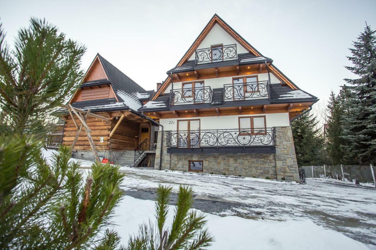 Willa Skalny Potok Zakopane Exteriér fotografie